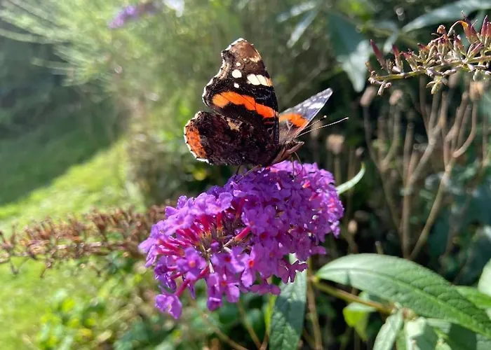 Barn: Beckside Stables * Картмел